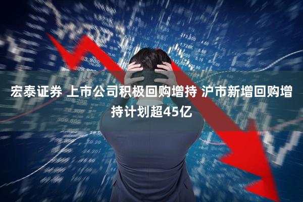 宏泰证券 上市公司积极回购增持 沪市新增回购增持计划超45亿