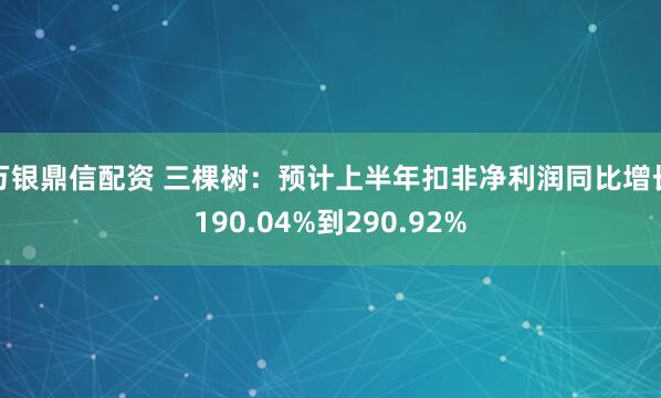 万银鼎信配资 三棵树：预计上半年扣非净利润同比增长190.04%到290.92%