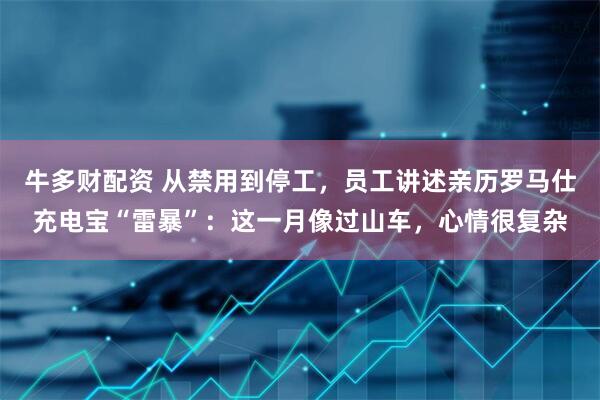 牛多财配资 从禁用到停工，员工讲述亲历罗马仕充电宝“雷暴”：这一月像过山车，心情很复杂