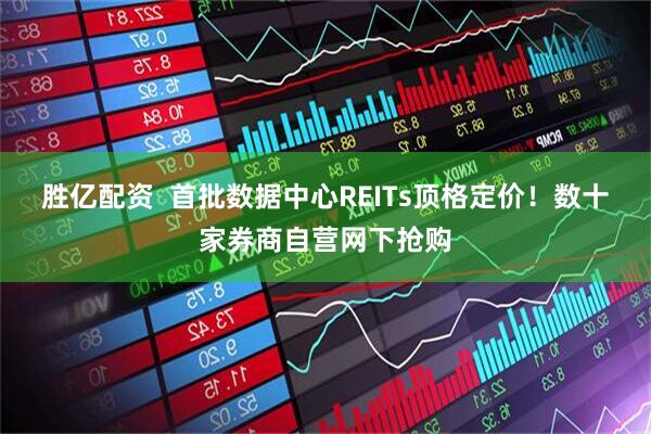 胜亿配资  首批数据中心REITs顶格定价！数十家券商自营网下抢购